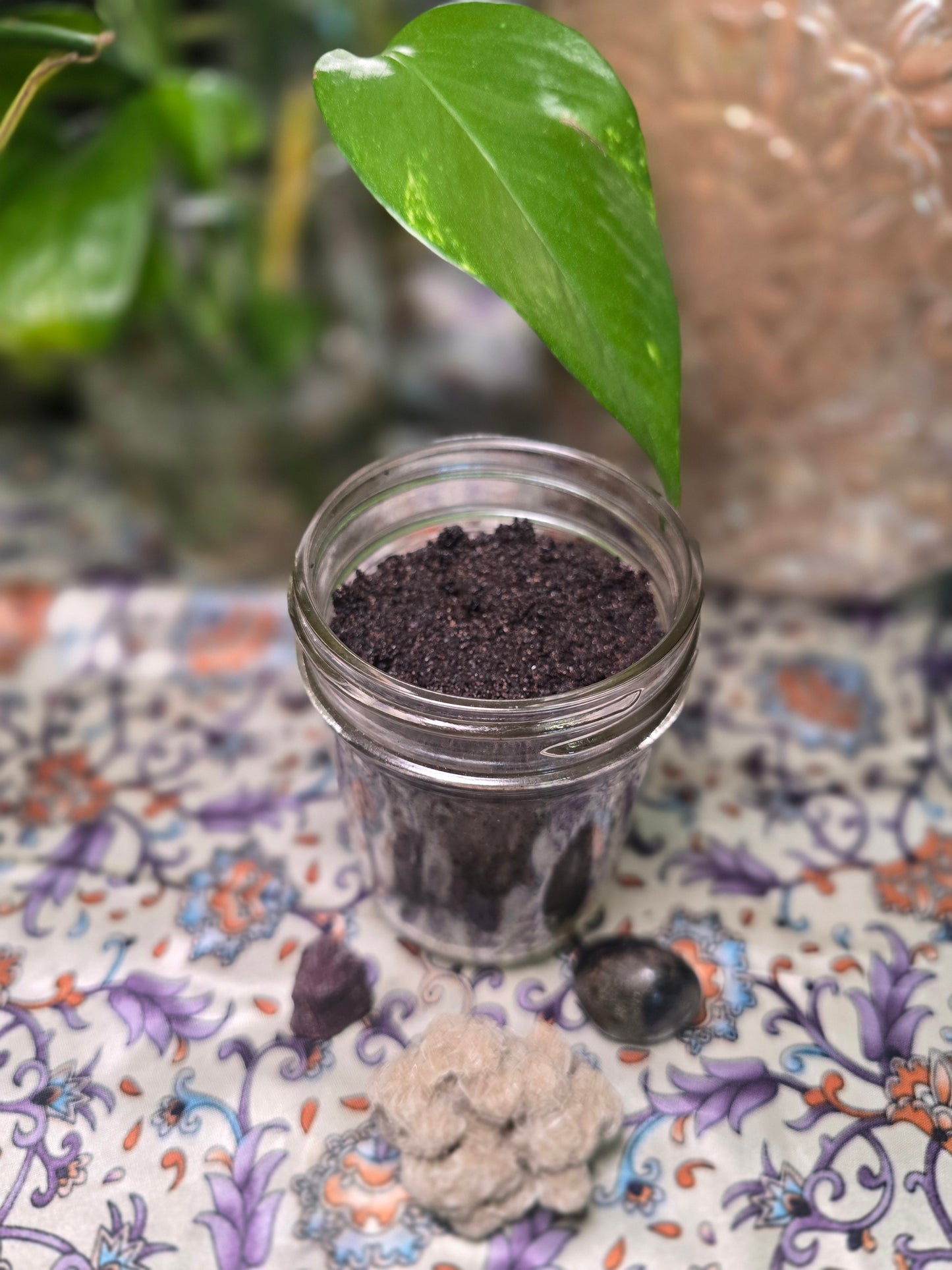 Full Body Scrub